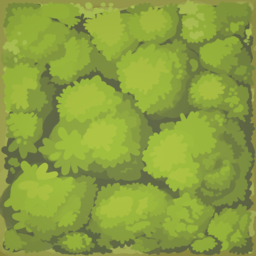 Dense Forest